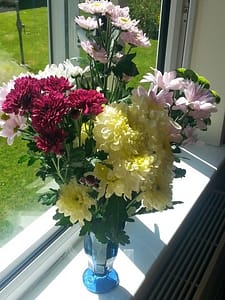 Flower 11