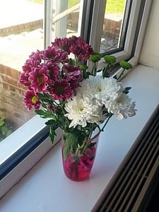 Flower 12