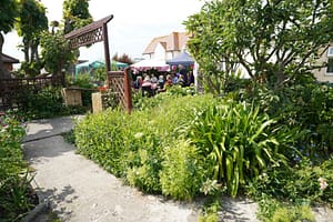 DSC00317