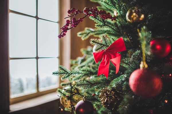 019 Featured Image Depositphotos_134875464_christmas tree