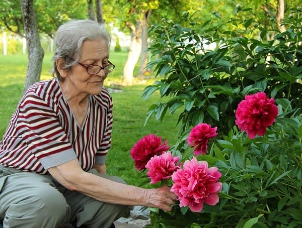 017 Featured Image Depositphotos_9418744_gardening
